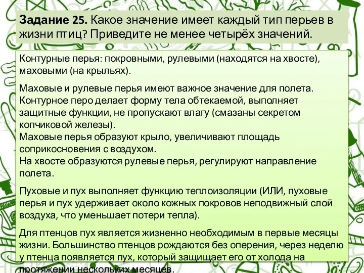 Задание 25. Какое значение имеет каждый тип перьев в жизни птиц?