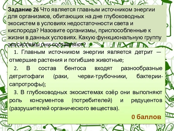 Задание 26 Что является главным источником энергии для организмов, обитающих на