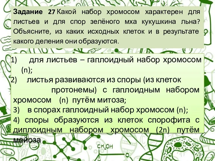 Задание 27 Какой набор хромосом характерен для листьев и для спор