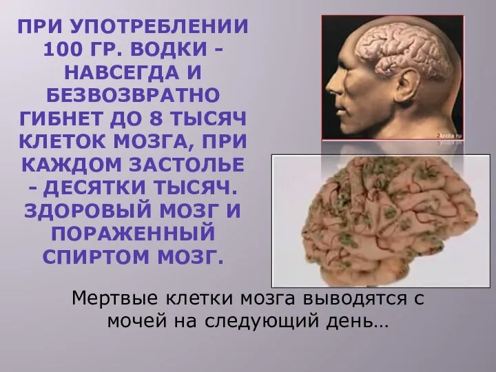 ПРИ УПОТРЕБЛЕНИИ 100 ГР. ВОДКИ - НАВСЕГДА И БЕЗВОЗВРАТНО ГИБНЕТ ДО