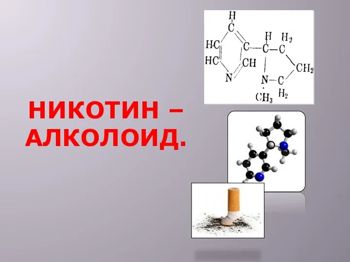 НИКОТИН – АЛКОЛОИД.