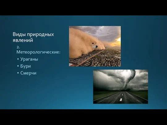 Виды природных явлений 2. Метеорологические: Ураганы Бури Смерчи