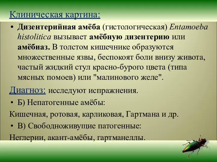 Клиническая картина: Дизентерийная амёба (гистологическая) Entamoeba histolitica вызывает амёбную дизентерию или