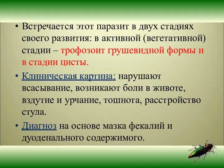 Встречается этот паразит в двух стадиях своего развития: в активной (вегетативной)