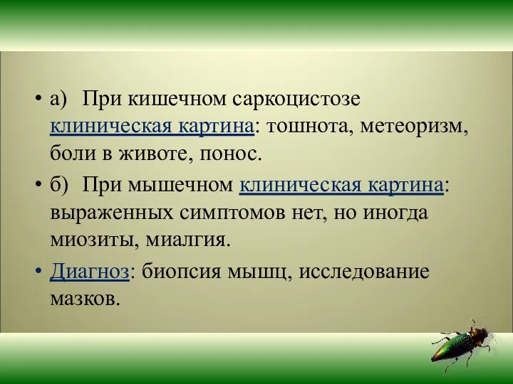 а) При кишечном саркоцистозе клиническая картина: тошнота, метеоризм, боли в животе,