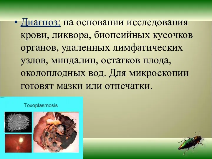 Диагноз: на основании исследования крови, ликвора, биопсийных кусочков органов, удаленных лимфатических