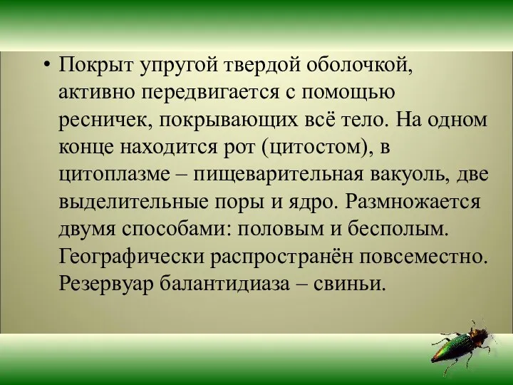 Покрыт упругой твердой оболочкой, активно передвигается с помощью ресничек, покрывающих всё