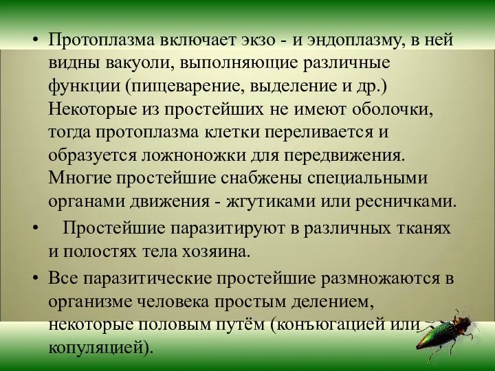 Протоплазма включает экзо - и эндоплазму, в ней видны вакуоли, выполняющие