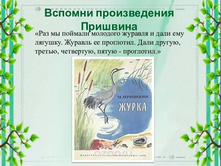 Вспомни произведения Пришвина «Раз мы поймали молодого журавля и дали ему