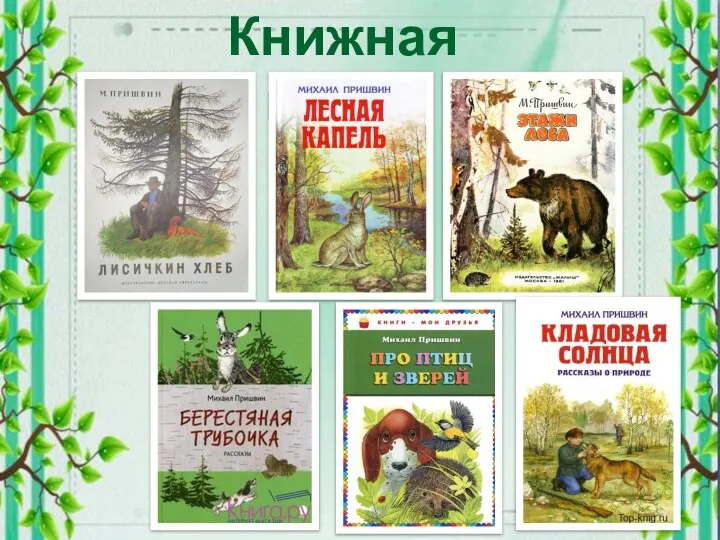 Книжная полка