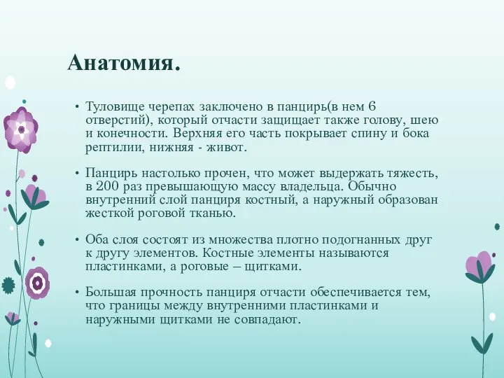 Анатомия. Туловище черепах заключено в панцирь(в нем 6 отверстий), который отчасти