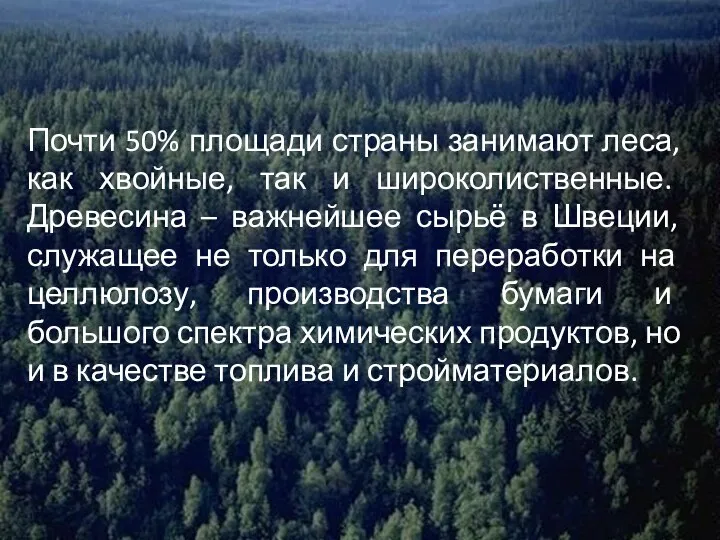 Почти 50% площади страны занимают леса, как хвойные, так и широколиственные.