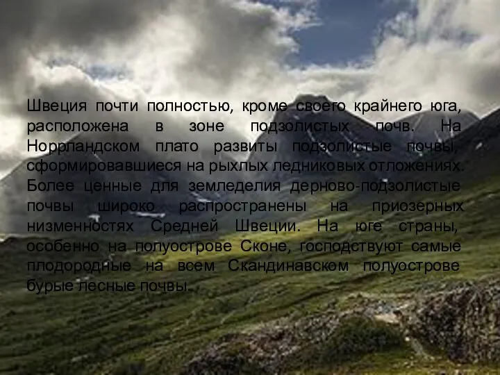 Швеция почти полностью, кроме своего крайнего юга, расположена в зоне подзолистых
