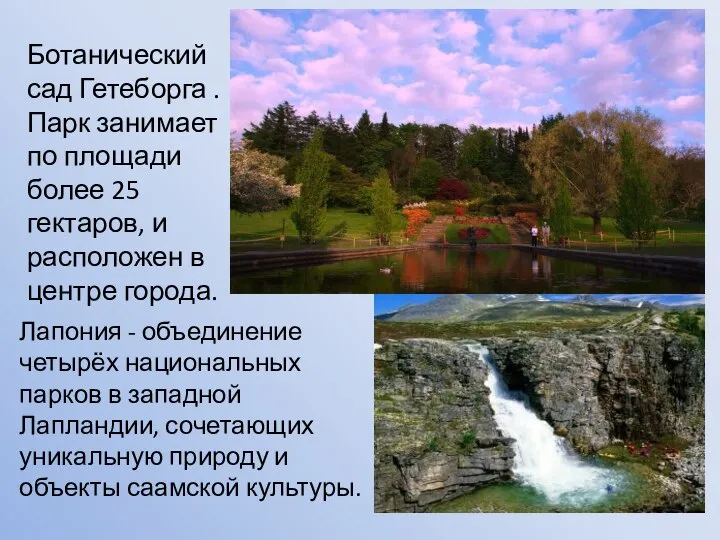 Ботанический сад Гетеборга . Парк занимает по площади более 25 гектаров,