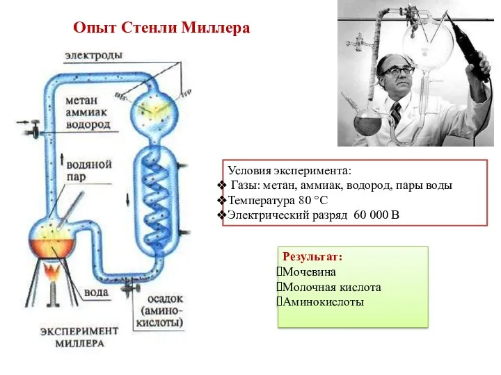 Опыт Стенли Миллера Условия эксперимента: Газы: метан, аммиак, водород, пары воды