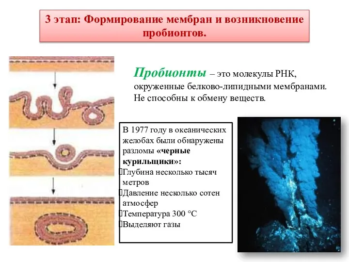 3 этап: Формирование мембран и возникновение пробионтов. Пробионты – это молекулы