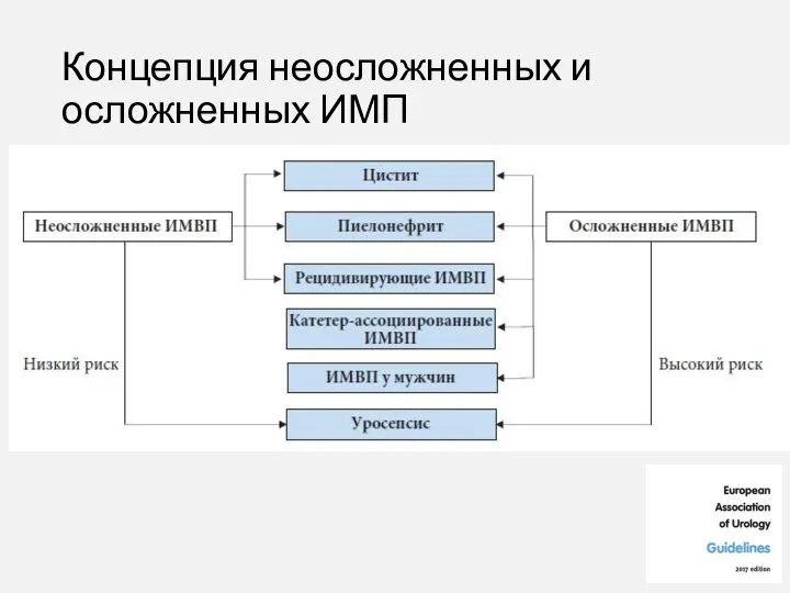 Концепция неосложненных и осложненных ИМП