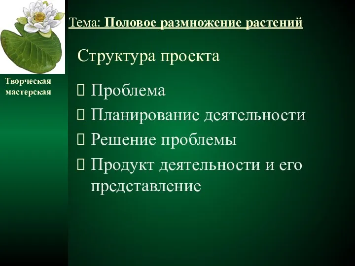 Структура проекта Проблема Планирование деятельности Решение проблемы Продукт деятельности и его