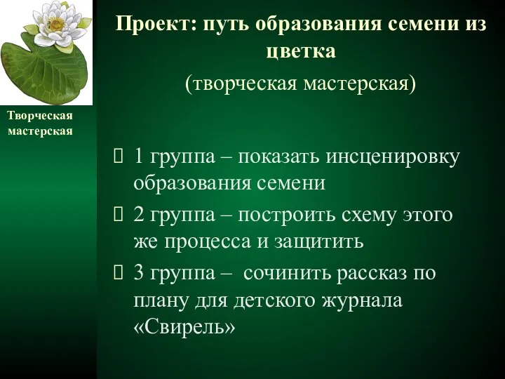 Проект: путь образования семени из цветка (творческая мастерская) 1 группа –