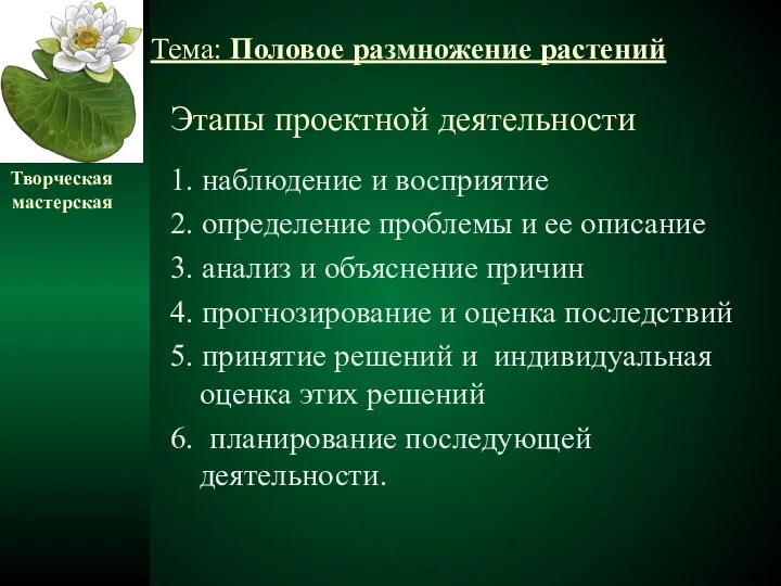 Этапы проектной деятельности 1. наблюдение и восприятие 2. определение проблемы и