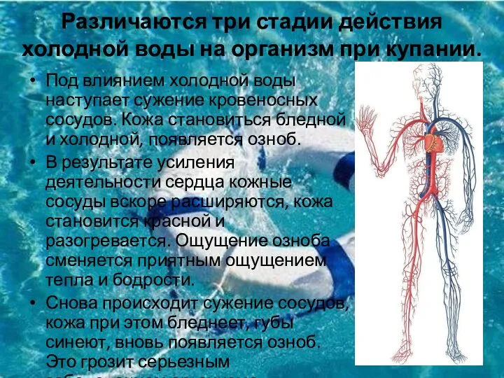 Различаются три стадии действия холодной воды на организм при купании. Под