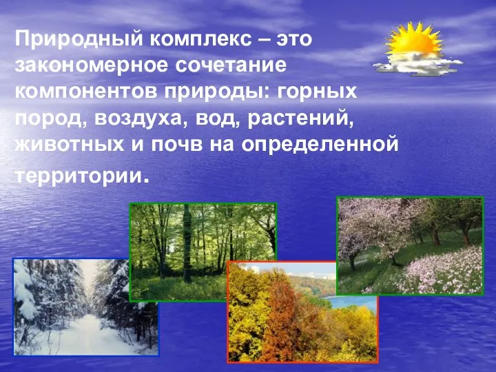 Природный комплекс – это закономерное сочетание компонентов природы: горных пород, воздуха,