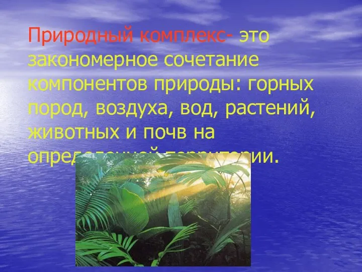 Природный комплекс- это закономерное сочетание компонентов природы: горных пород, воздуха, вод,