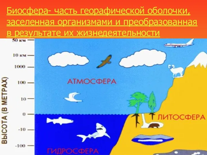 Биосфера- часть георафической оболочки, заселенная организмами и преобразованная в результате их жизнедеятельности