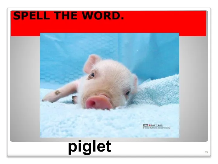 SPELL THE WORD. piglet