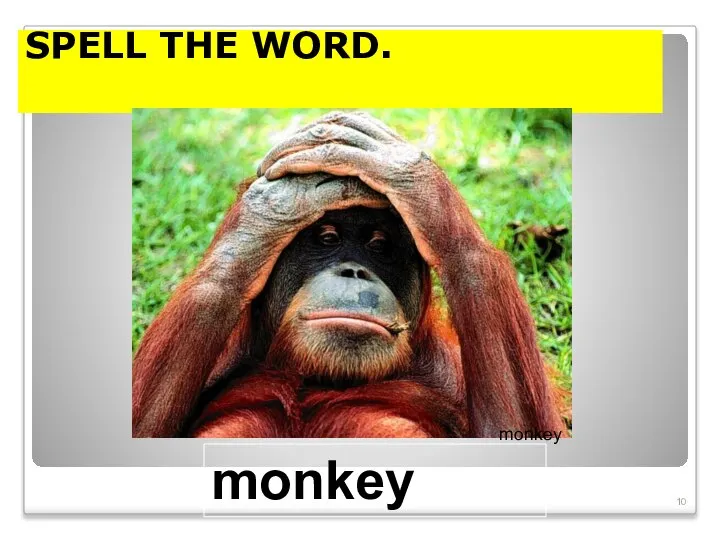 SPELL THE WORD. monkey monkey
