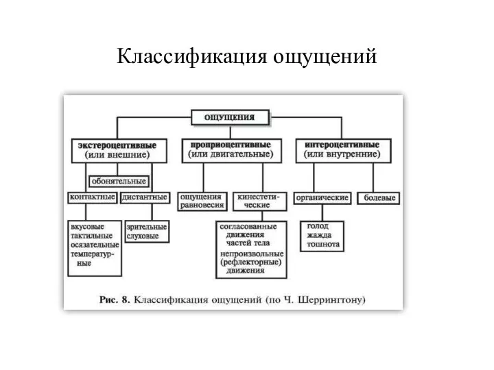 Классификация ощущений