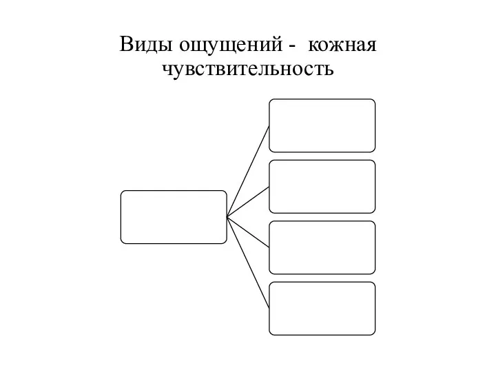 Виды ощущений - кожная чувствительность