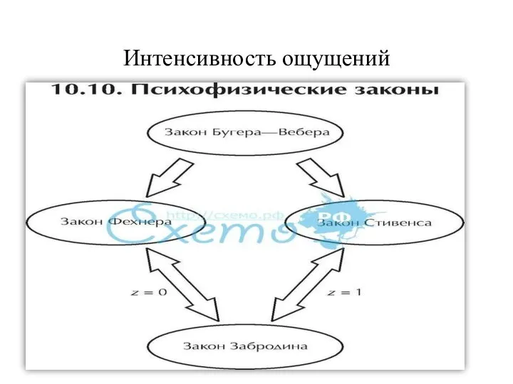 Интенсивность ощущений