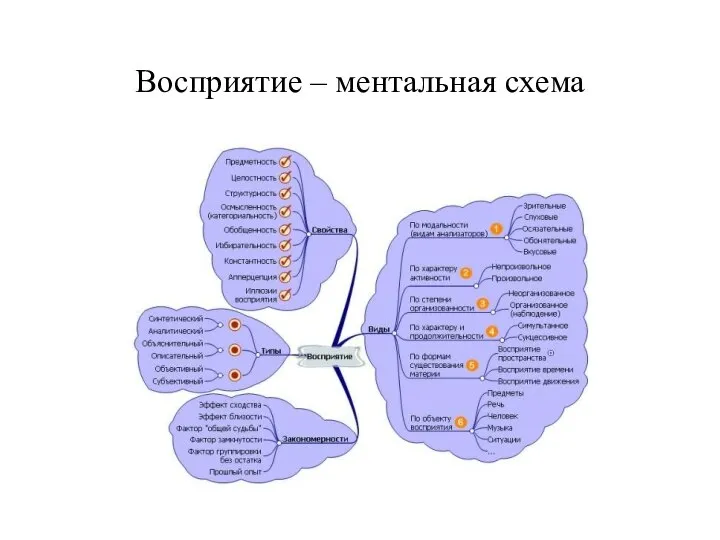 Восприятие – ментальная схема