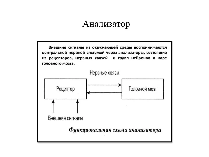 Анализатор анализатора