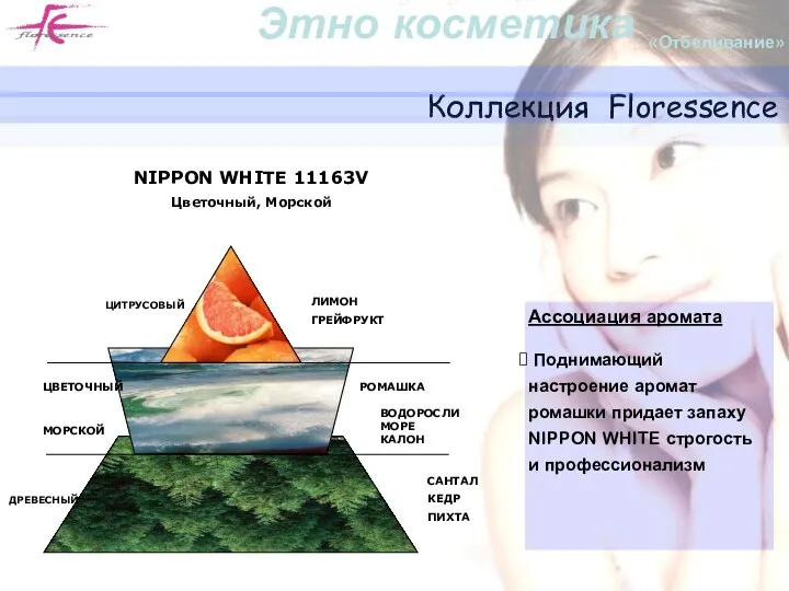 Коллекция Floressence NIPPON WHITE 11163V Цветочный, Морской ЦИТРУСОВЫЙ ЛИМОН ГРЕЙФРУКТ ДРЕВЕСНЫЙ