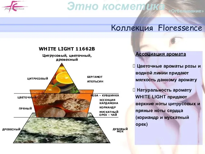 Коллекция Floressence WHITE LIGHT 11662B Цитрусовый, цветочный, древесный ЦИТРУСОВЫЙ БЕРГАМОТ АПЕЛЬСИН