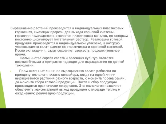 Выращивание растений производится в индивидуальных пластиковых горшочках, имеющих прорези для выхода