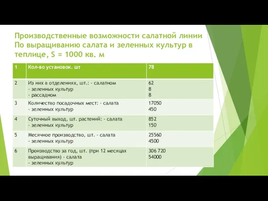 Производственные возможности салатной линии По выращиванию салата и зеленных культур в