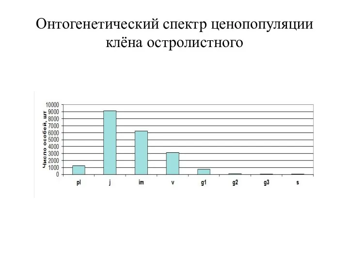 Онтогенетический спектр ценопопуляции клёна остролистного