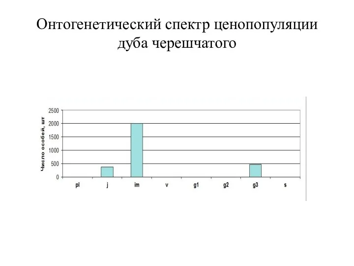 Онтогенетический спектр ценопопуляции дуба черешчатого