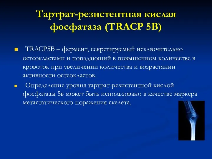 Тартрат-резистентная кислая фосфатаза (TRACP 5B) TRACP5B – фермент, секретируемый исключительно остеокластами