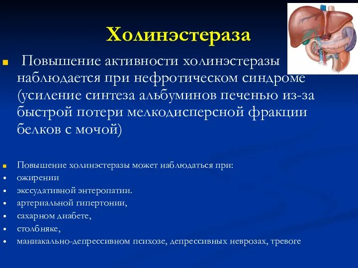 Холинэстераза Повышение активности холинэстеразы наблюдается при нефротическом синдроме (усиление синтеза альбуминов