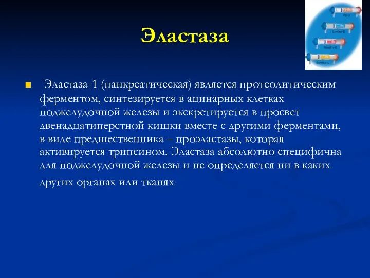 Эластаза Эластаза-1 (панкреатическая) является протеолитическим ферментом, синтезируется в ацинарных клетках поджелудочной