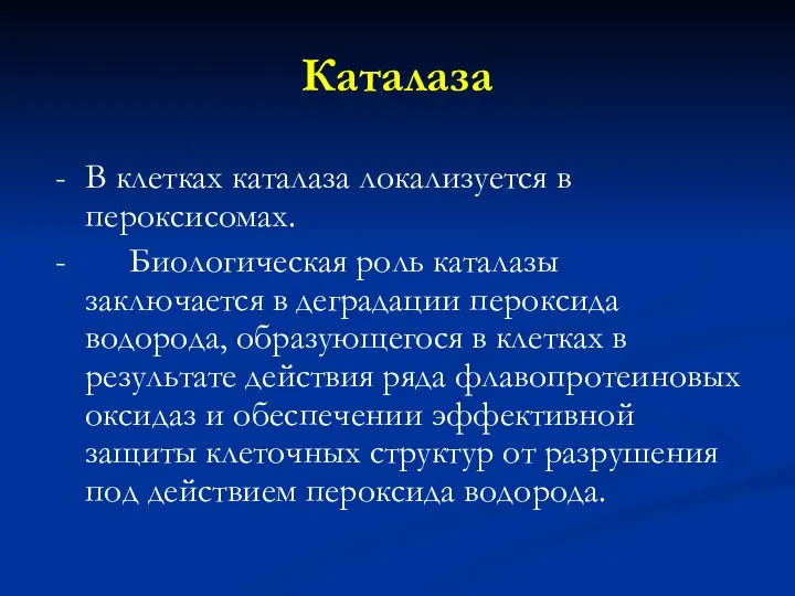 Каталаза - В клетках каталаза локализуется в пероксисомах. - Биологическая роль