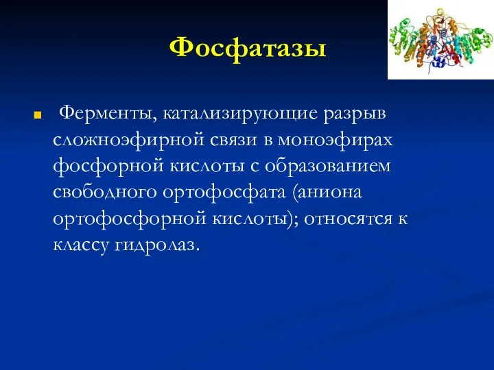 Фосфатазы Ферменты, катализирующие разрыв сложноэфирной связи в моноэфирах фосфорной кислоты с