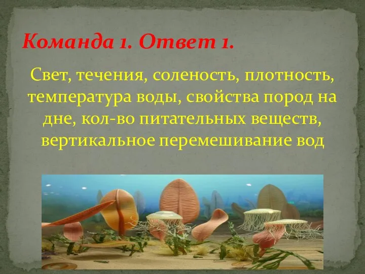 Свет, течения, соленость, плотность, температура воды, свойства пород на дне, кол-во