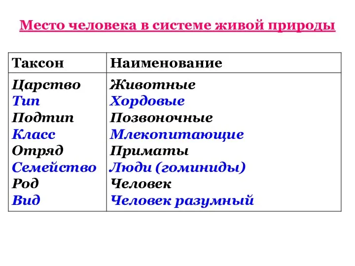 Место человека в системе живой природы