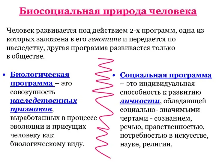 Биосоциальная природа человека Биологическая программа – это совокупность наследственных признаков, выработанных