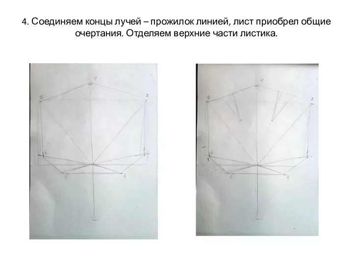 4. Соединяем концы лучей – прожилок линией, лист приобрел общие очертания. Отделяем верхние части листика.